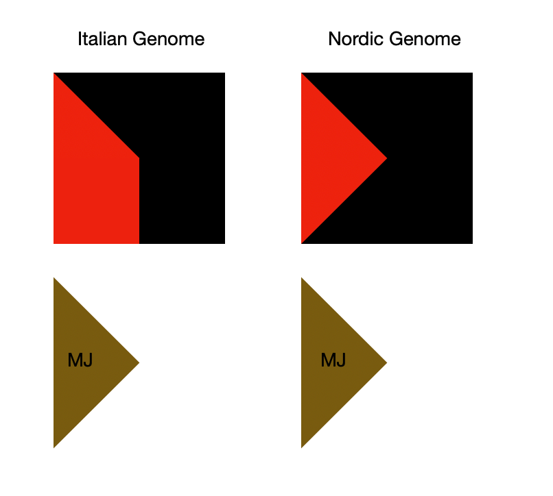 Screen Shot 2020-05-12 at 5.57.43 AM