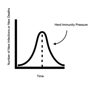 Screen Shot 2020-07-15 at 6.34.42 AM